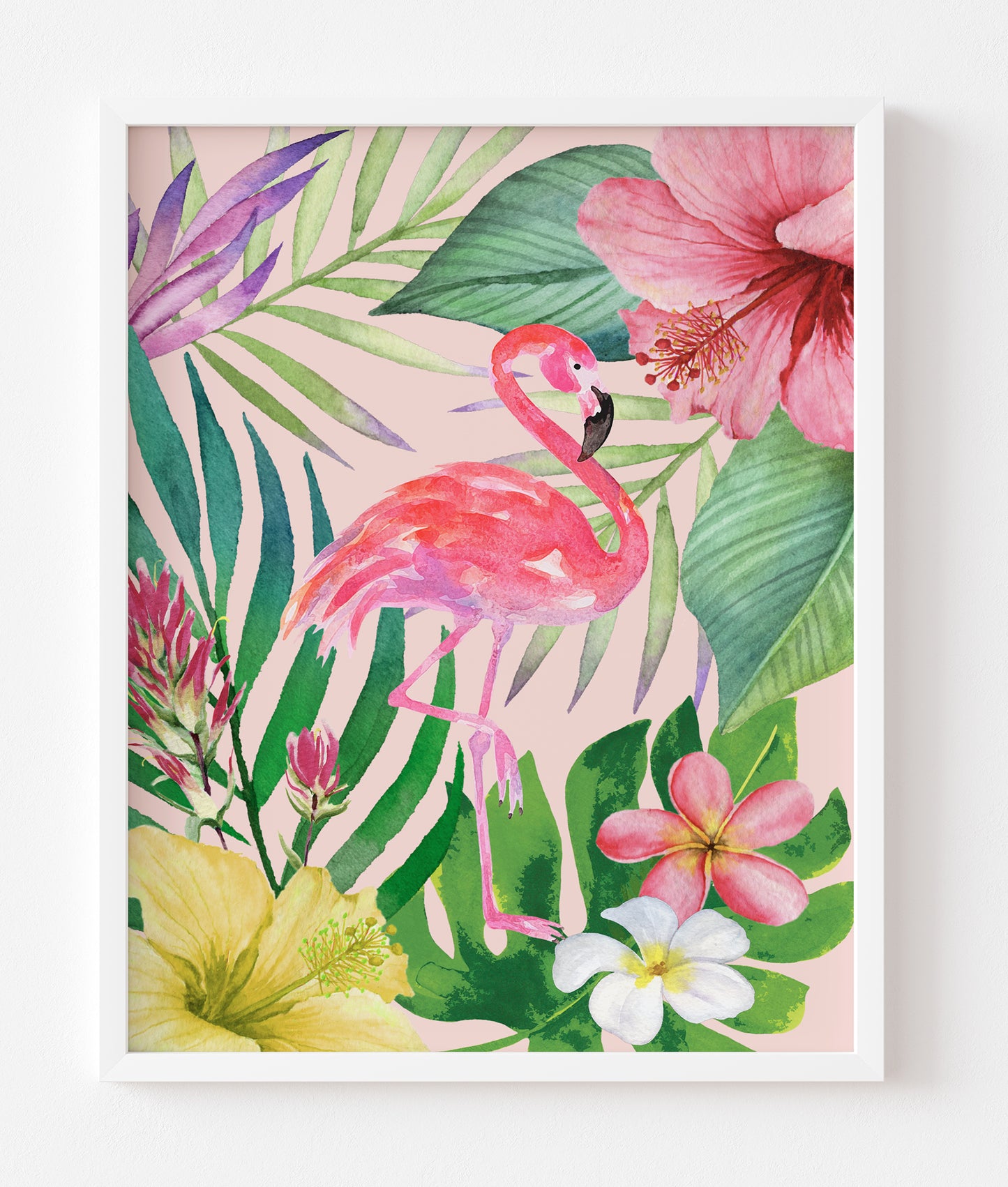 Tropicali